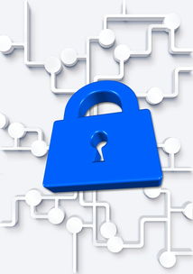 华体会app安装-高校体育社团管理数字化平台构建方案，全国性体育社团