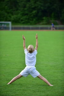 华体会登录入口-高校运动训练动态管理机制探索,运动训练过程调控与参赛指导