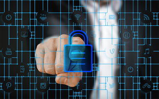 华体会在线下载-马术运动进校园课程体系初步建立，马术走进校园合作方案