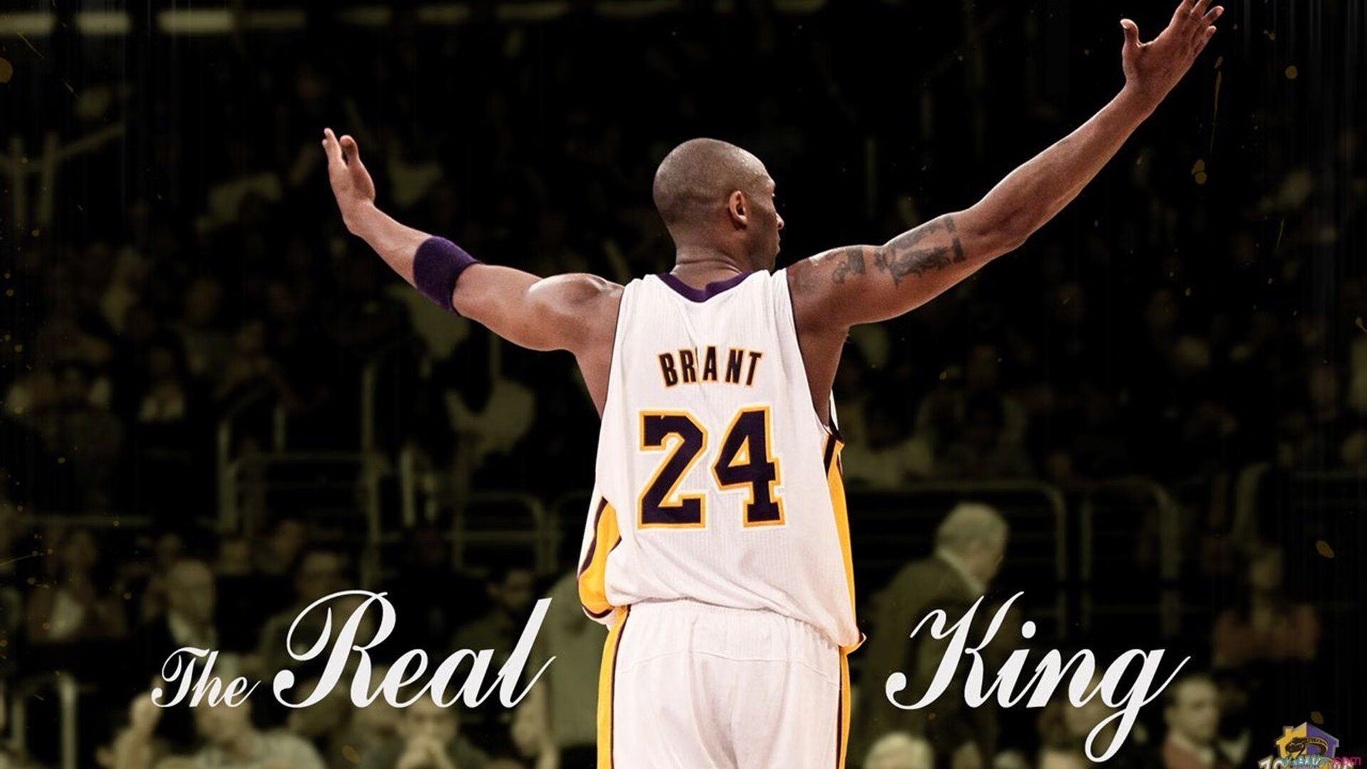 华体会平台-高水平选手划水对称性评分排行榜